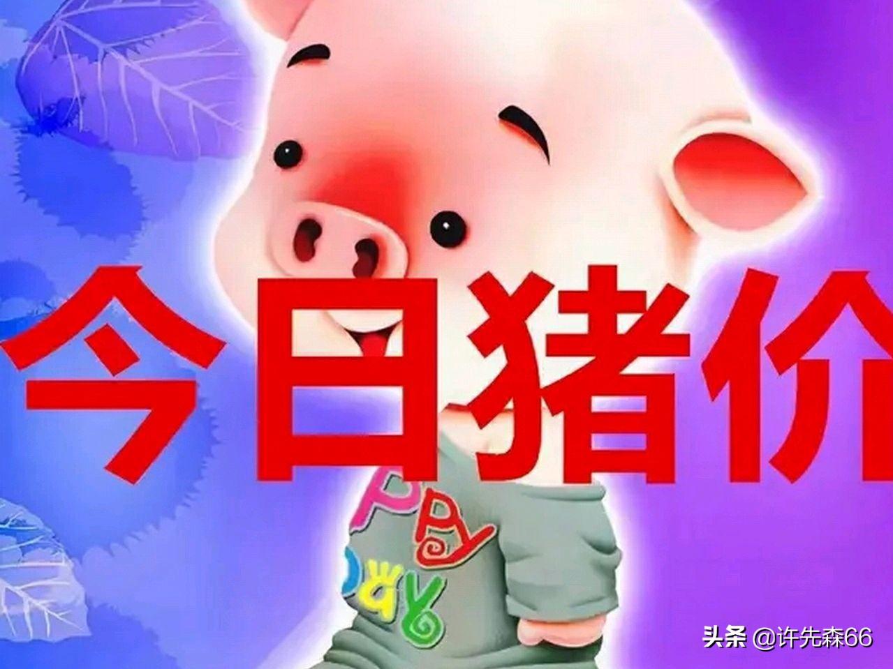 娱乐生活 第75页