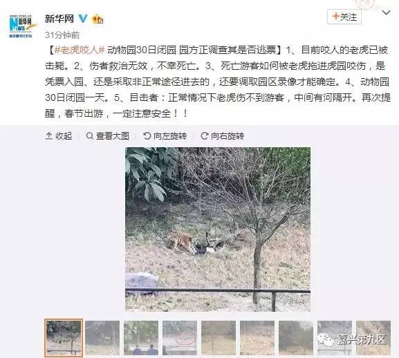 湖北男子逃票被老虎咬死湖北男子逃票被老虎咬死事件深度解析