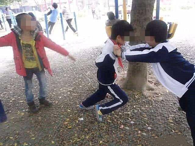 中学生殴打小学生关于中学生殴打小学生的深度探讨